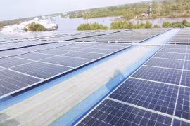 PV Power REC: Vững bước từ gian khó, tạo nền móng cho tăng trưởng xanh