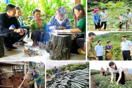 Ưu tiên nguồn lực cho vùng khó khăn, tránh chọn việc 'dễ làm' nhưng không đáp ứng nhu cầu thực tế