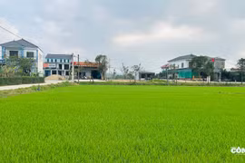 Hà Tĩnh: Nỗi nhớ neo đậu ở những phiên chợ cuối năm