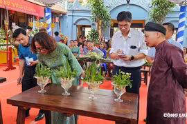 Hải Phòng: Độc đáo hội thi Hoa Thủy tiên