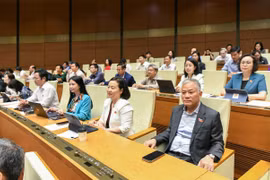 Hôm nay, Quốc hội thảo luận ở tổ về phát triển kinh tế - xã hội và ngân sách nhà nước