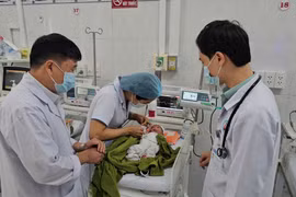 Gia Lai: Quyết định trao bé gái sơ sinh từng bị chôn sống cho gia đình ở Đà Nẵng nuôi dưỡng