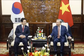 Tổng Bí thư, Chủ tịch nước Tô Lâm hội đàm với Tổng thống Hàn Quốc Lee Jae Myung