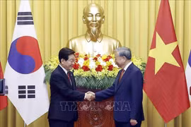 Tổng Bí thư, Chủ tịch nước Tô Lâm và Tổng thống Hàn Quốc Lee Jae Myung gặp gỡ báo chí