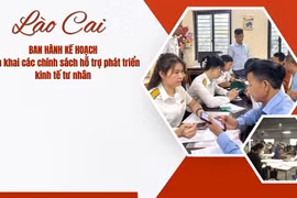 Lào Cai triển khai nhiều chính sách hỗ trợ phát triển kinh tế tư nhân