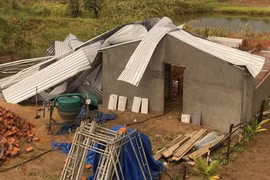 Gia Lai: Mưa lớn kèm lốc xoáy khiến 10 căn nhà bị tốc mái, nhiều cây xanh gãy đổ