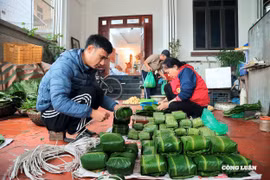 Dân làng Tranh Khúc tất bật gói bánh chưng phục vụ Tết
