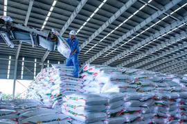Cà Mau đạt kết quả tích cực trong thực hành tiết kiệm năng lượng