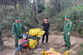 Bắt giữ đối tượng vận chuyển 265kg xúc xích không rõ nguồn gốc qua biên giới Lạng Sơn