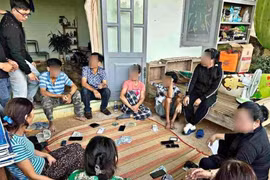 Công an mật phục, bắt quả tang 9 con bạc 'sát phạt' trong vườn sầu riêng