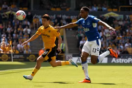 Nhận định, dự đoán Everton vs Wolverhampton: Thắng nhọc nhằn