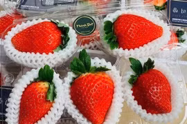“Kim cương đỏ” của Nhật Bản cháy hàng dịp 8/3 dù giá tới 5 triệu đồng/kg
