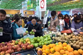 Động lực mới để kinh tế Việt Nam tăng tốc đến năm 2030