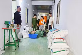 Gia Lai: Người phụ nữ thuê phòng trọ sản xuất hàng trăm kg hạt nêm giả bán kiếm lời