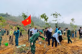 Hà Tĩnh, Quảng Trị, Nghệ An đồng loạt phát động 'Tết trồng cây đời đời nhớ ơn Bác Hồ'