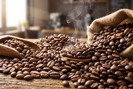 Giá cà phê hôm nay 15/3: Tây Nguyên giảm sâu, Robusta mất gần 5%