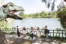 Top 5 tọa độ dã ngoại xanh mát sát vách TP.HCM lý tưởng cho kỳ nghỉ Tết Dương lịch