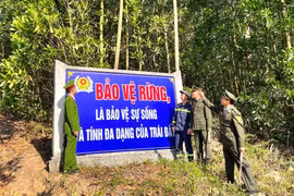 Tăng mức kinh phí bảo vệ rừng đặc dụng