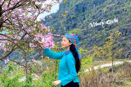 Tuyên Quang: Xã Khâu Vai lần đầu tổ chức lễ hội hoa mộc miên và hoa ban
