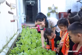 Đề xuất giảm tải giờ làm cho giáo viên mầm non, Bộ Giáo dục và Đào tạo nói chưa cần thiết