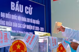 Tây Ninh bầu đủ 15 đại biểu Quốc hội, 81 đại biểu HĐND tỉnh