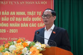Chuẩn bị thẻ cử tri cho du khách không kịp về nơi cư trú trong ngày bầu cử