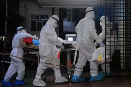 Virus Nipah quay trở lại châu Á, Bộ Y tế kích hoạt giám sát phòng dịch