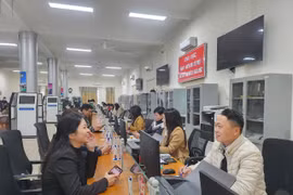 Trung tâm Dịch vụ việc làm Thanh Hóa: Phát huy tốt vai trò kết nối cung - cầu lao động, phát triển thị trường lao động bền vững và hiệu quả