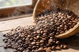 Giá cà phê hôm nay 22/3: Trong nước tăng nhẹ, Arabica bật mạnh gần 3%