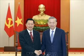 Tổng Bí thư Tô Lâm tiếp Bộ trưởng Bộ Công an Lào