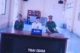 Nhẫn tâm dùng xyanua đầu độc tình nhân, người phụ nữ lĩnh 30 năm tù