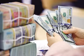Tuyệt đối không để hình thành 'hai giá' tiền gửi, ngoại tệ, vàng