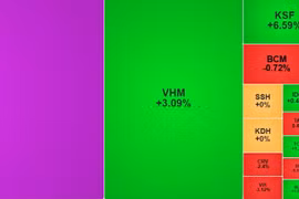 Chứng khoán hôm nay 22/4/2026: Cổ phiếu trụ cột bứt phá, VN-Index tăng gần 24 điểm
