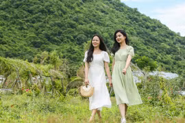 Tết sum vầy và trải nghiệm an nhiên