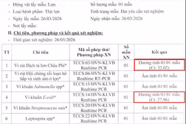 Đình chỉ hiệu trưởng mầm non ở Thái Nguyên 'cố tình' đưa thịt nhiễm dịch tả lợn châu Phi vào bữa ăn bán trú