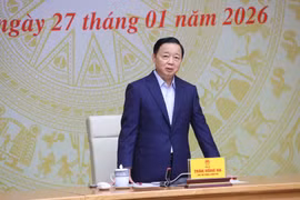 Xử phạt tàu cá vi phạm: Phó Thủ tướng yêu cầu kiểm tra tính nghiêm minh, 'có làm thật hay không'