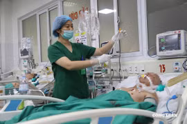 Mùng 2 Tết: Dịch bệnh giảm, gần 88 nghìn bệnh nhân đang điều trị