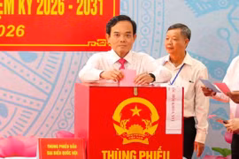TP Hồ Chí Minh: Cử tri đi bầu đạt 99,06%, bầu đủ đại biểu Quốc hội và HĐND