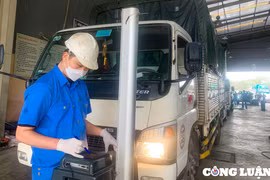 Chủ phương tiện tra cứu giấy chứng nhận kiểm định điện tử thế nào?