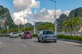 Ford Territory giảm giá bán lẻ niêm yết xuống còn từ 739 triệu đồng