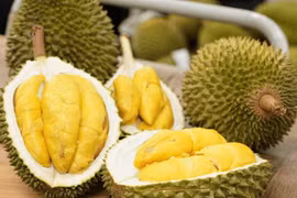 Giá sầu riêng hôm nay 2/1: Sầu Thái giữ mốc 100.000 đồng/kg, Ri6 đi ngang