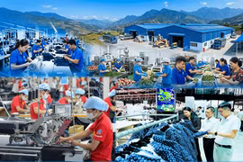 Lào Cai phấn đấu thành lập mới 1.500 doanh nghiệp ngoài nhà nước trong năm 2026