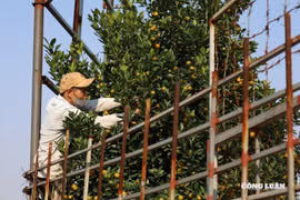 VinFast VF 5: Bài toán chi phí “nhẹ” nhất phân khúc gia đình và chạy dịch vụ