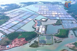 Quảng Ninh triển khai nhiều giải pháp sử dụng năng lượng hiệu quả trong lộ trình chuyển đổi năng lượng xanh