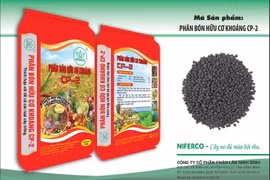 Phân lân Ninh Bình giữ đà tăng trưởng giữa biến động thị trường