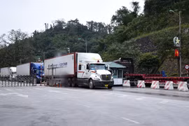 300.000 tấn hàng hóa ùn ứ tại cửa khẩu: Bộ Nông nghiệp và Môi trường vào cuộc tháo gỡ