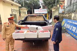 Ninh Bình: Phát hiện xe ô tô chở gần 100 kg nội tạng lợn không rõ nguồn gốc đang trên đường đi tiêu thụ