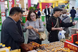 Người dân thích thú tham quan Hội chợ Mùa Xuân