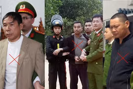 Khởi tố nhóm đối tượng hủy hoại hơn 1.000 cây keo giống của Công ty Lâm nghiệp Thái Nguyên