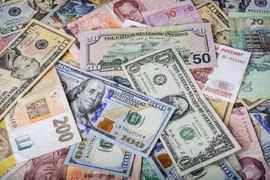 Tỷ giá ngoại tệ hôm nay 8/1: Đồng USD tăng nhẹ, tỷ giá trung tâm ở mức 25.122 VND